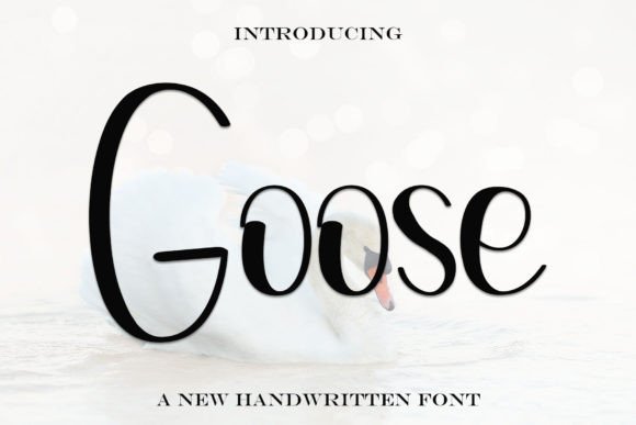 Goose: A Handwritten Font for Timeless Branding