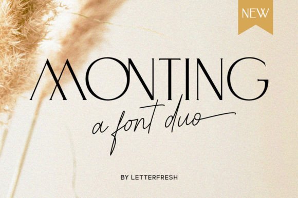 Monting Duo: The Font That Boosted My Bakery’s Brand