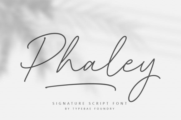 Phaley: A Script Font That Elevates Digital Branding